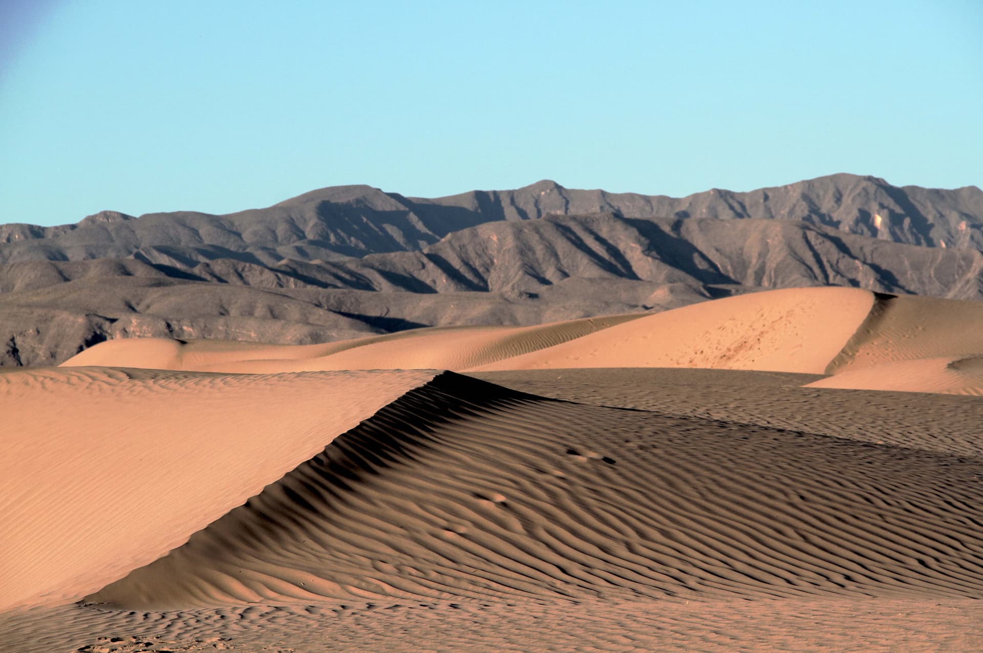 Dunas de Bilbao en Coahuila: Aventura de sandboard y atardeceres en el corazón del desierto